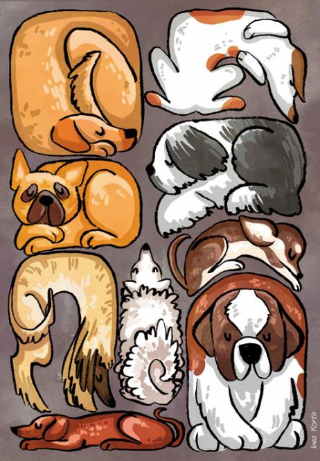 Postkarte "Dogs" - Ines Korth 